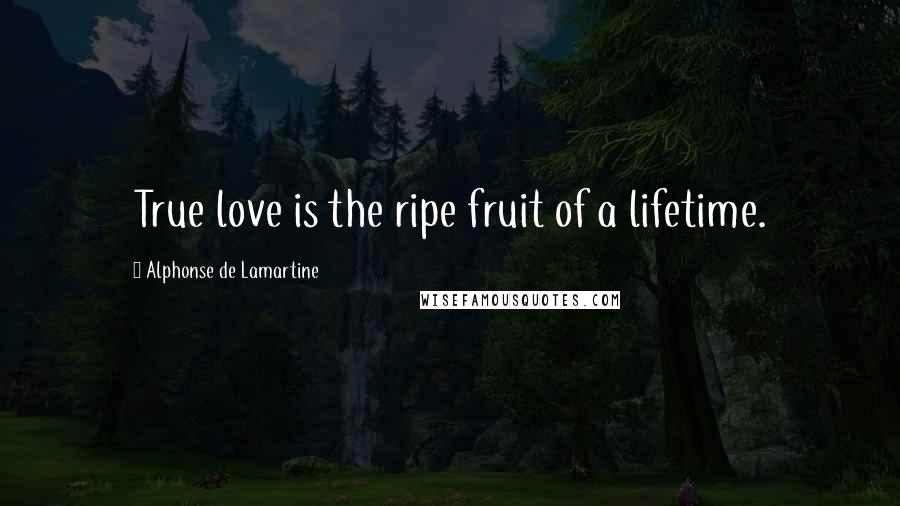 Alphonse De Lamartine Quotes: True love is the ripe fruit of a lifetime.