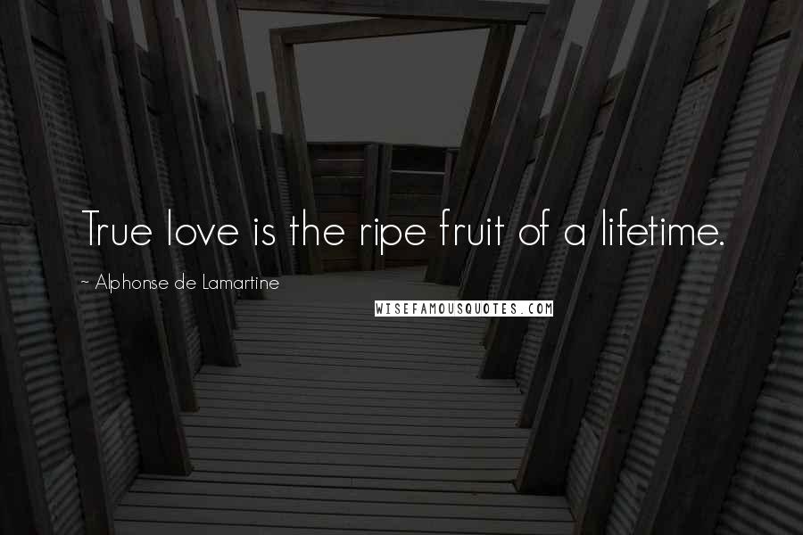 Alphonse De Lamartine Quotes: True love is the ripe fruit of a lifetime.