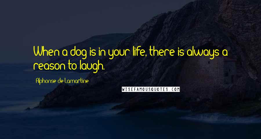 Alphonse De Lamartine Quotes: When a dog is in your life, there is always a reason to laugh.