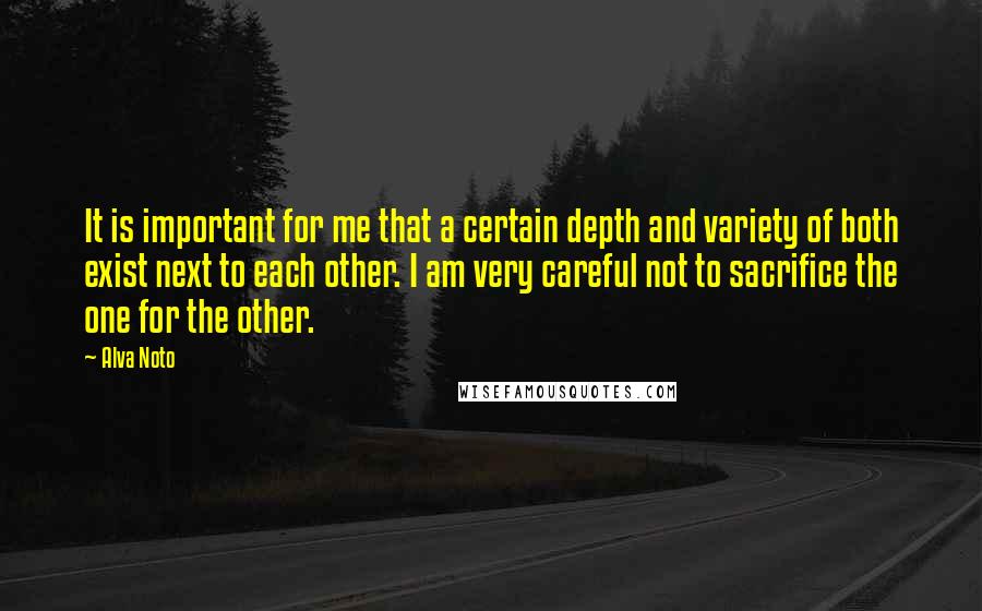 Alva Noto Quotes: It is important for me that a certain depth and variety of both exist next to each other. I am very careful not to sacrifice the one for the other.