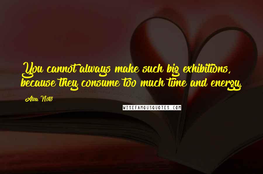 Alva Noto Quotes: You cannot always make such big exhibitions, because they consume too much time and energy.