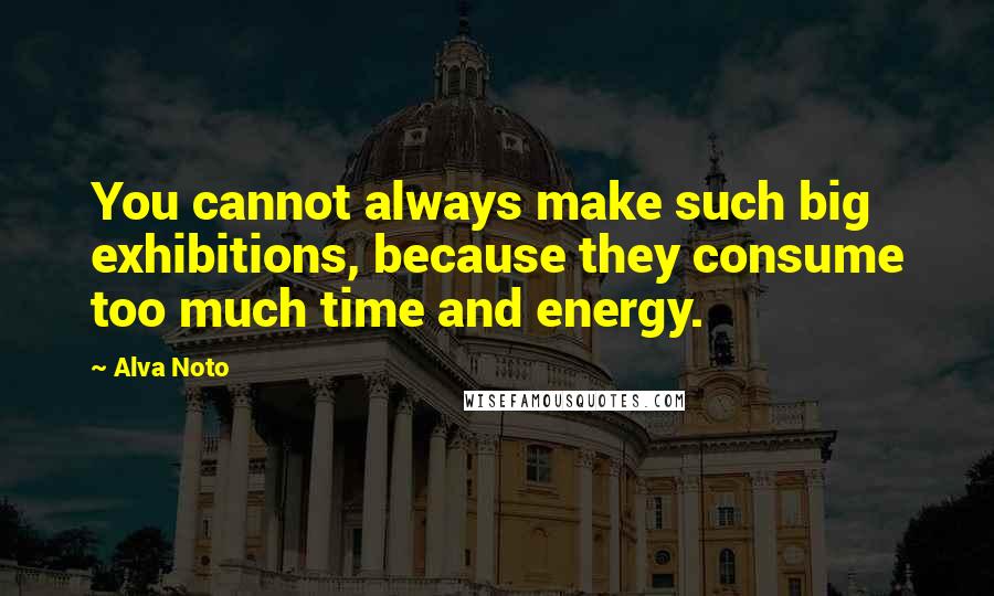 Alva Noto Quotes: You cannot always make such big exhibitions, because they consume too much time and energy.