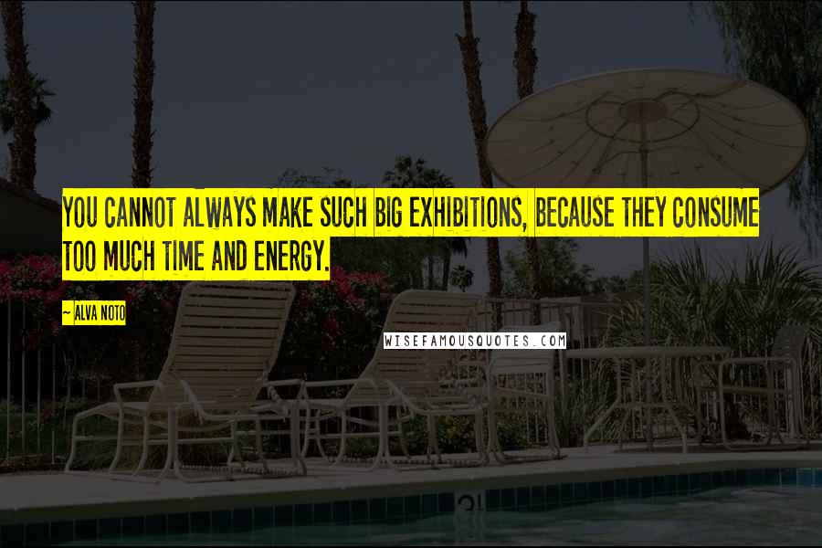 Alva Noto Quotes: You cannot always make such big exhibitions, because they consume too much time and energy.