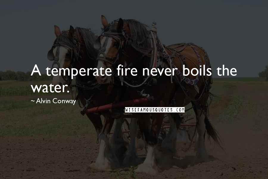 Alvin Conway Quotes: A temperate fire never boils the water.