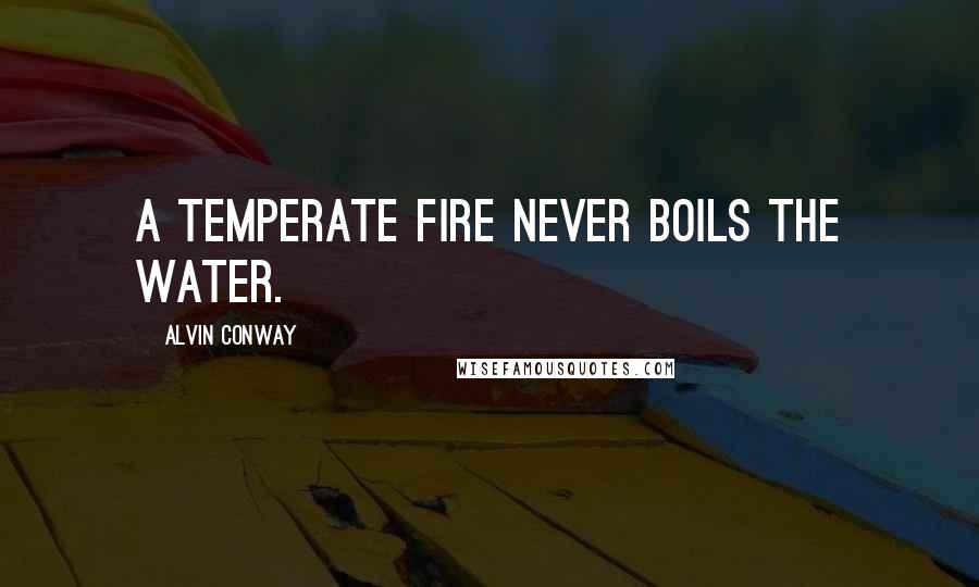 Alvin Conway Quotes: A temperate fire never boils the water.