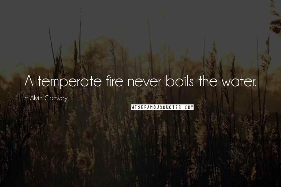 Alvin Conway Quotes: A temperate fire never boils the water.