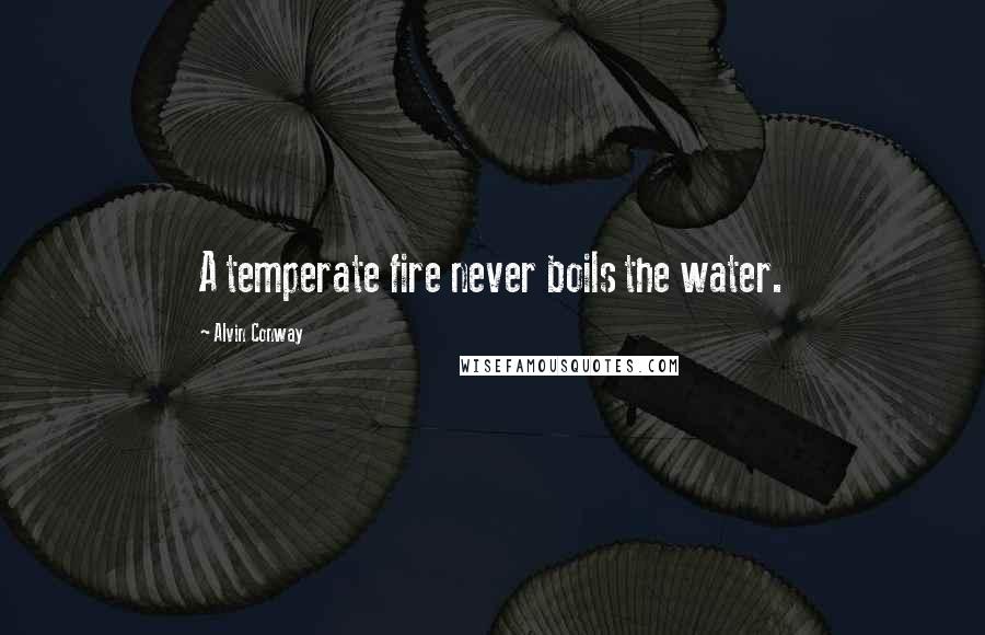 Alvin Conway Quotes: A temperate fire never boils the water.