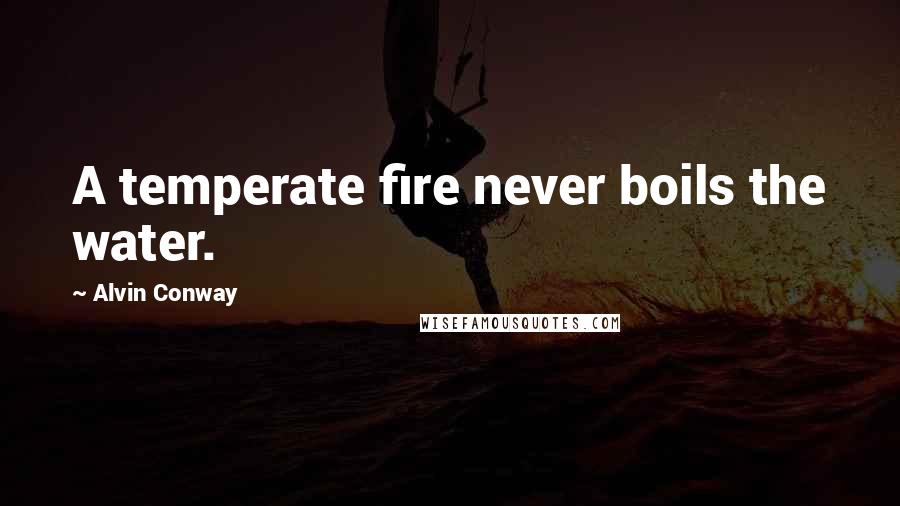 Alvin Conway Quotes: A temperate fire never boils the water.