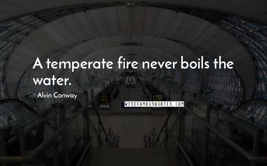 Alvin Conway Quotes: A temperate fire never boils the water.