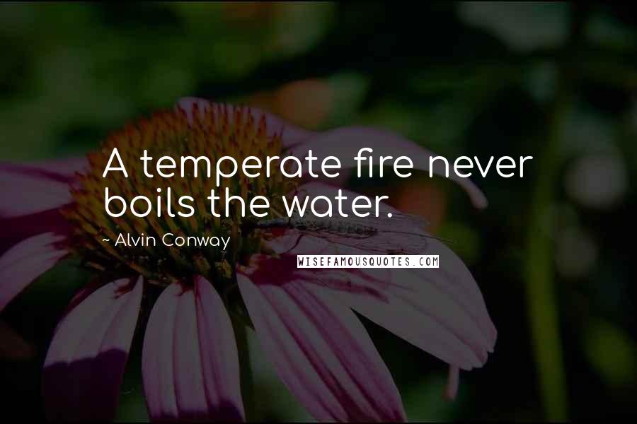 Alvin Conway Quotes: A temperate fire never boils the water.