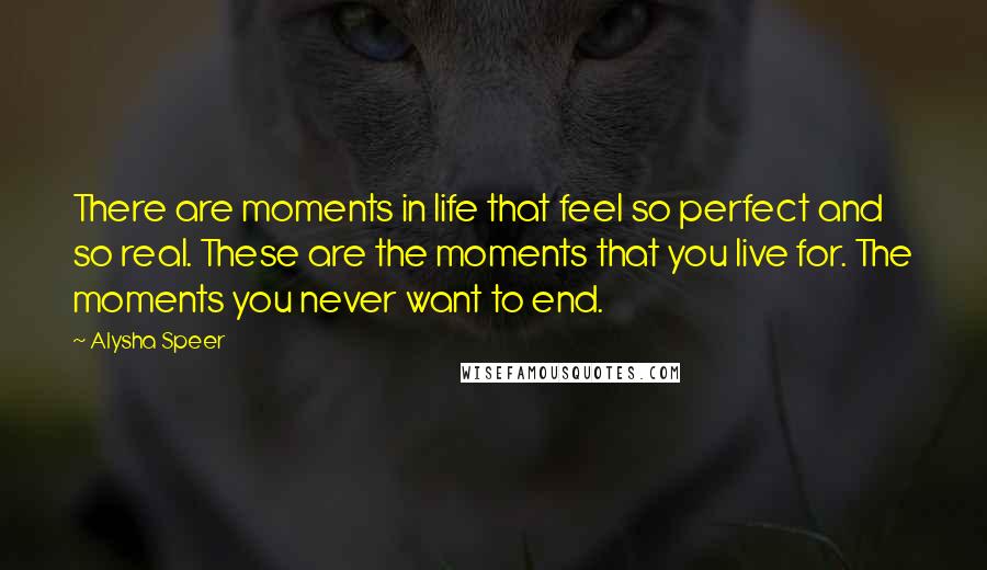 Alysha Speer Quotes: There are moments in life that feel so perfect and so real. These are the moments that you live for. The moments you never want to end.