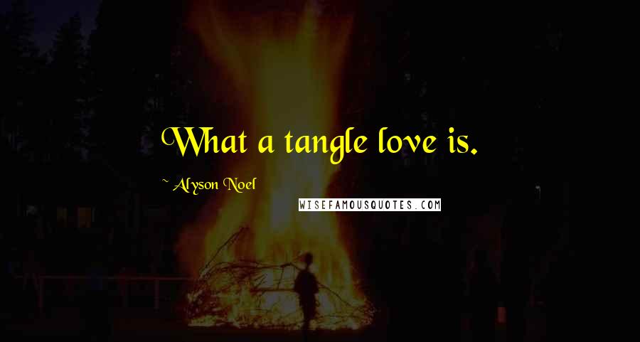 Alyson Noel Quotes: What a tangle love is.