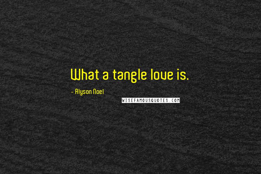 Alyson Noel Quotes: What a tangle love is.