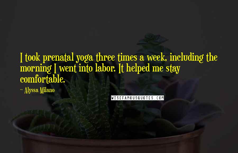 Alyssa Milano Quotes: I took prenatal yoga three times a week, including the morning I went into labor. It helped me stay comfortable.