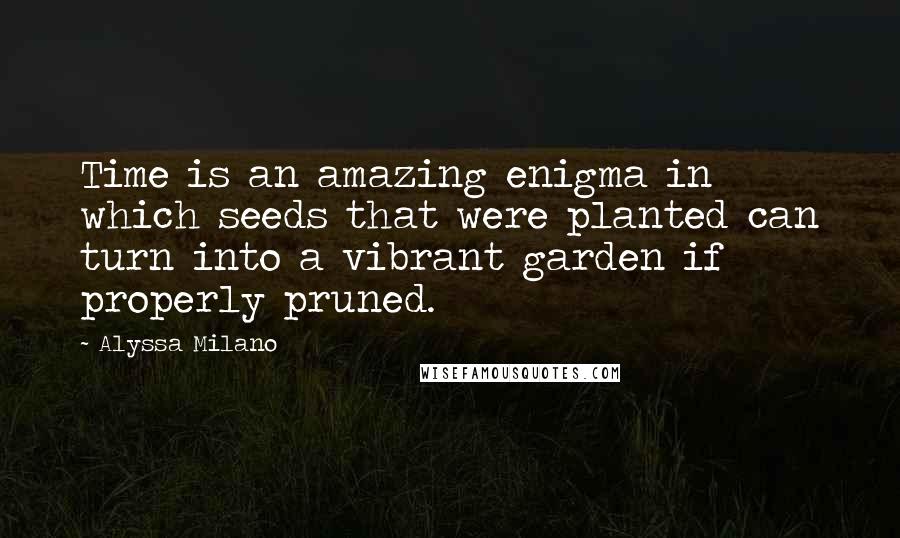 Alyssa Milano Quotes: Time is an amazing enigma in which seeds that were planted can turn into a vibrant garden if properly pruned.