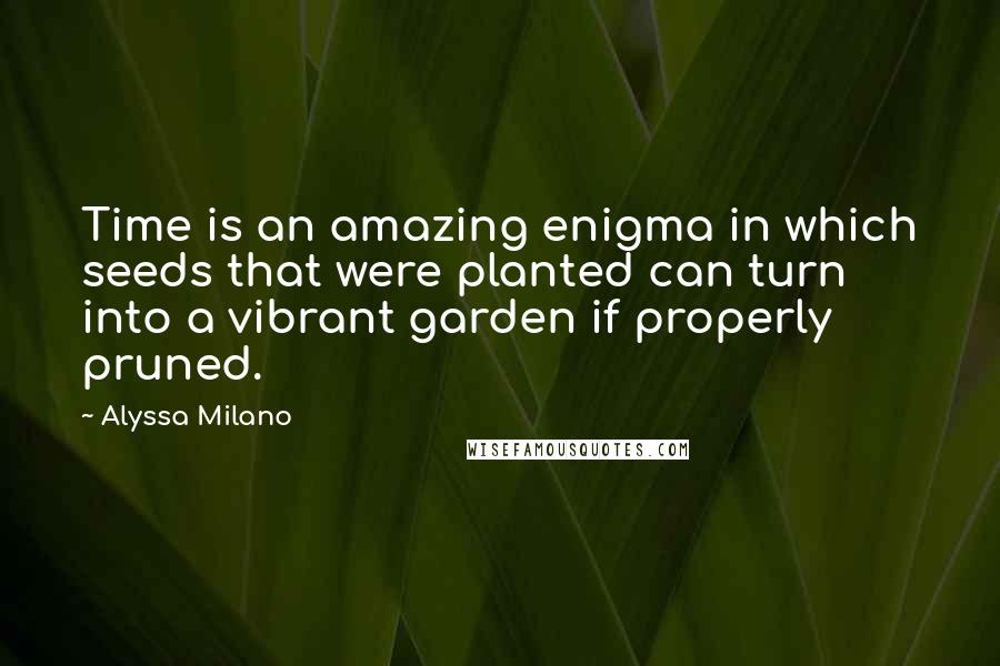 Alyssa Milano Quotes: Time is an amazing enigma in which seeds that were planted can turn into a vibrant garden if properly pruned.