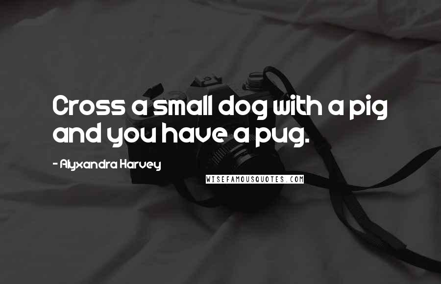 Alyxandra Harvey Quotes: Cross a small dog with a pig and you have a pug.
