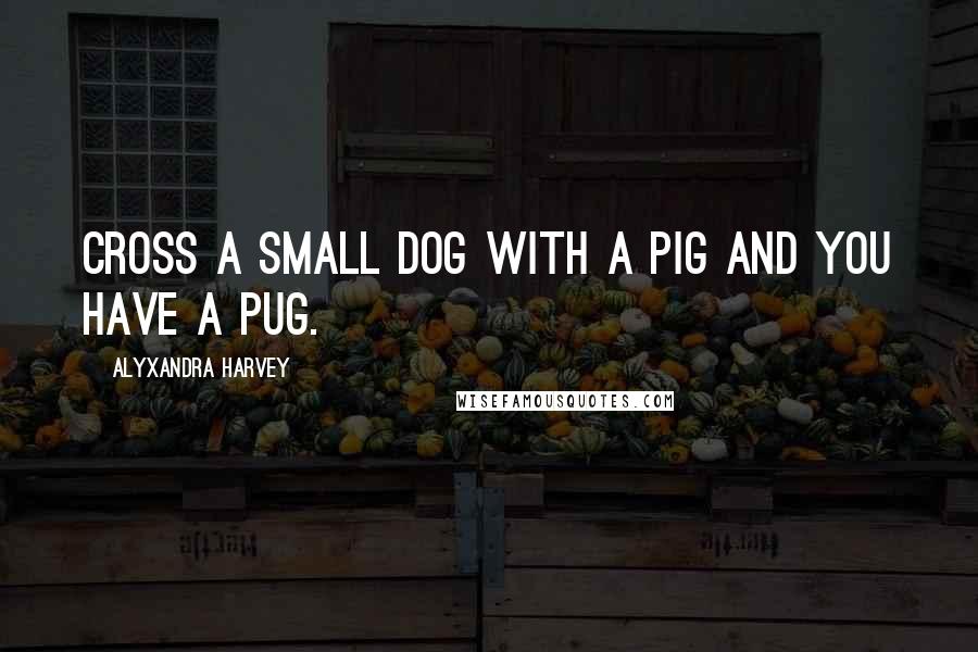 Alyxandra Harvey Quotes: Cross a small dog with a pig and you have a pug.