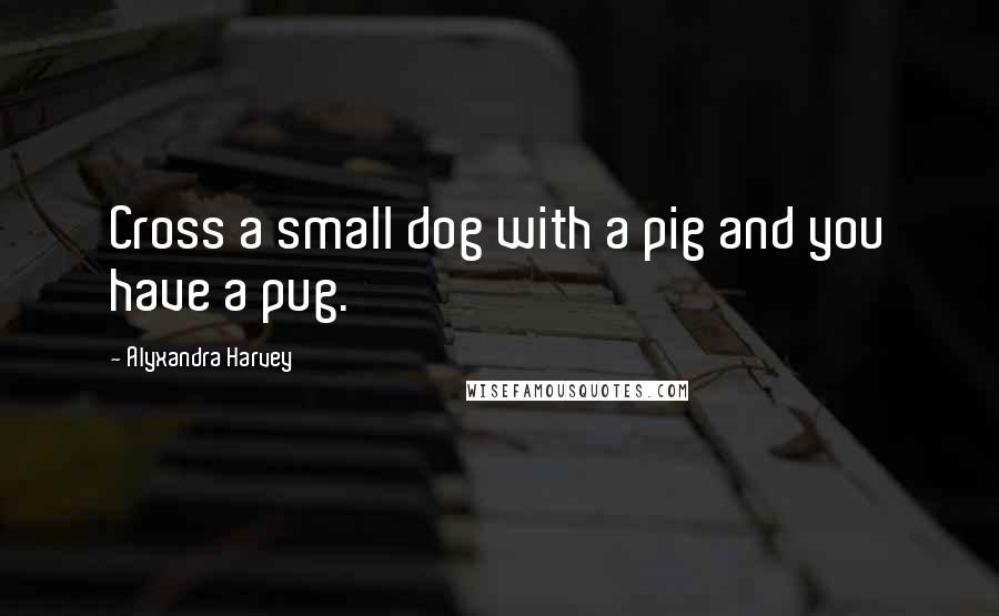 Alyxandra Harvey Quotes: Cross a small dog with a pig and you have a pug.