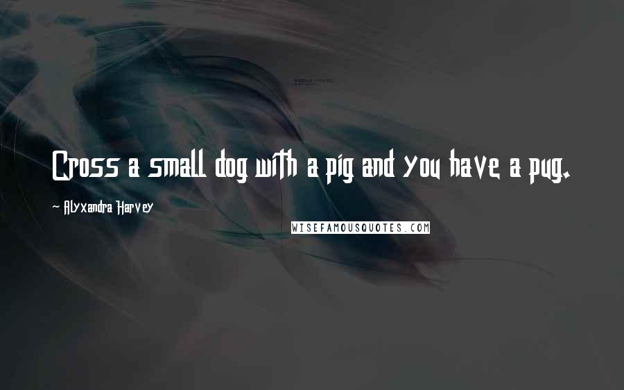 Alyxandra Harvey Quotes: Cross a small dog with a pig and you have a pug.