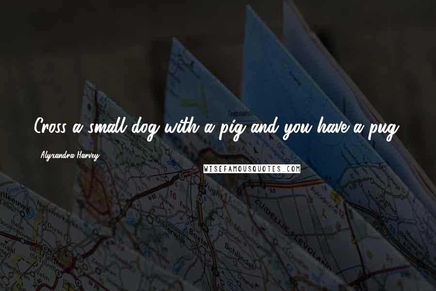 Alyxandra Harvey Quotes: Cross a small dog with a pig and you have a pug.