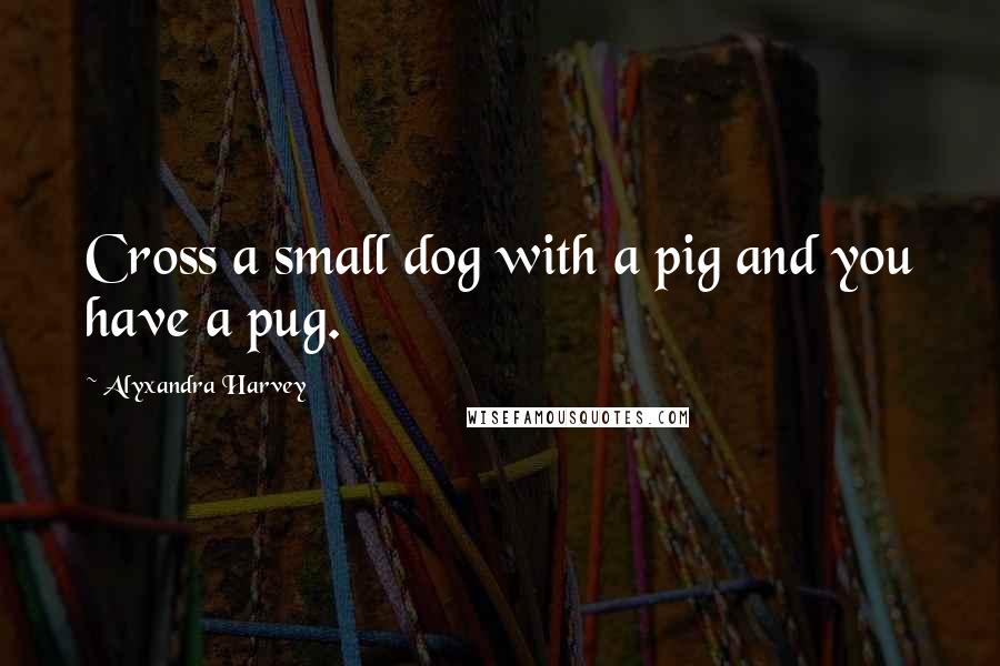 Alyxandra Harvey Quotes: Cross a small dog with a pig and you have a pug.