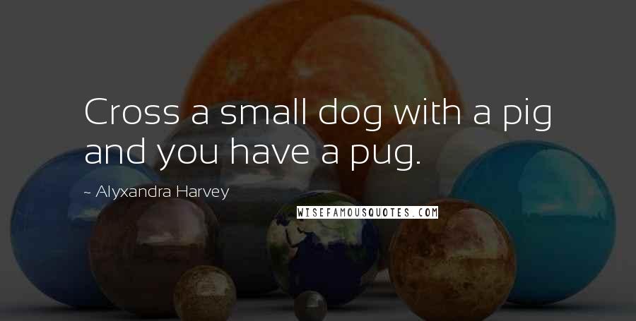 Alyxandra Harvey Quotes: Cross a small dog with a pig and you have a pug.