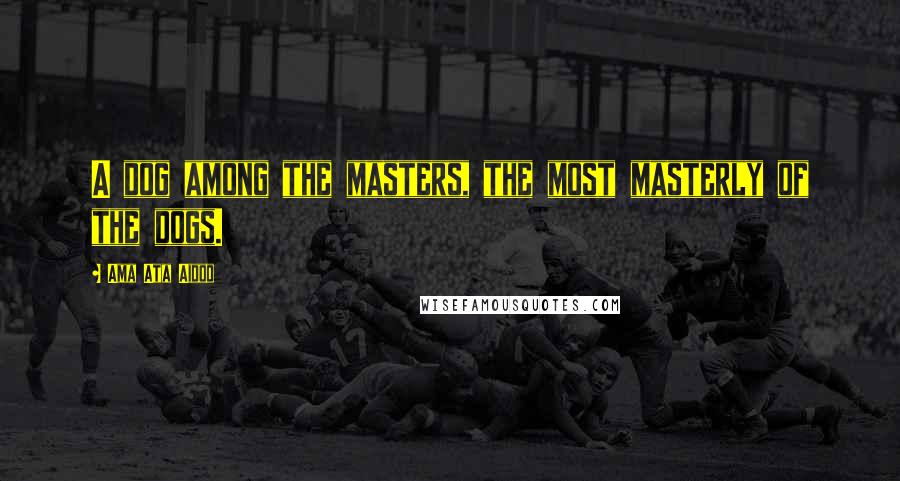 Ama Ata Aidoo Quotes: A dog among the masters, the most masterly of the dogs.