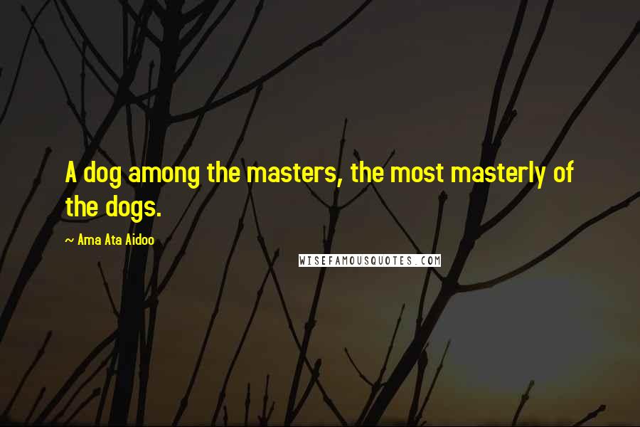 Ama Ata Aidoo Quotes: A dog among the masters, the most masterly of the dogs.