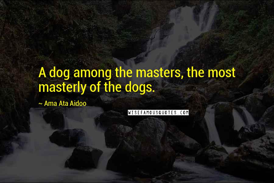 Ama Ata Aidoo Quotes: A dog among the masters, the most masterly of the dogs.