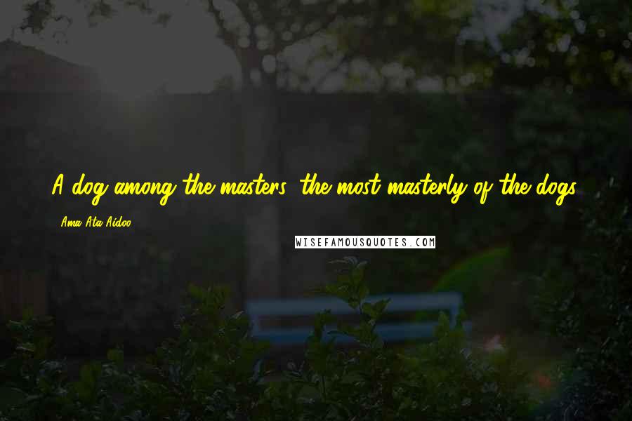 Ama Ata Aidoo Quotes: A dog among the masters, the most masterly of the dogs.