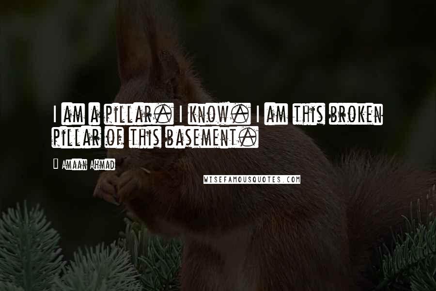 Amaan Ahmad Quotes: I am a pillar. I know. I am this broken pillar of this basement.