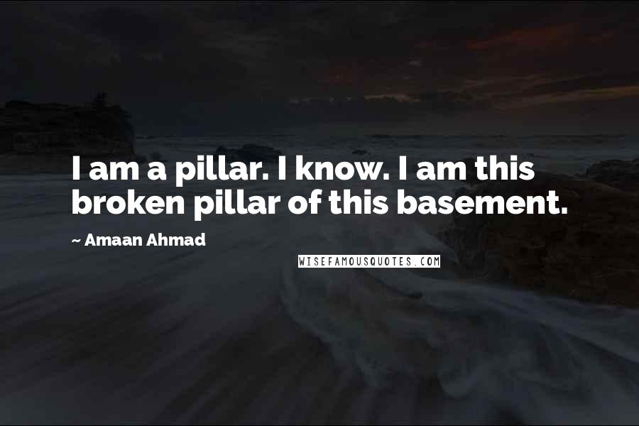 Amaan Ahmad Quotes: I am a pillar. I know. I am this broken pillar of this basement.