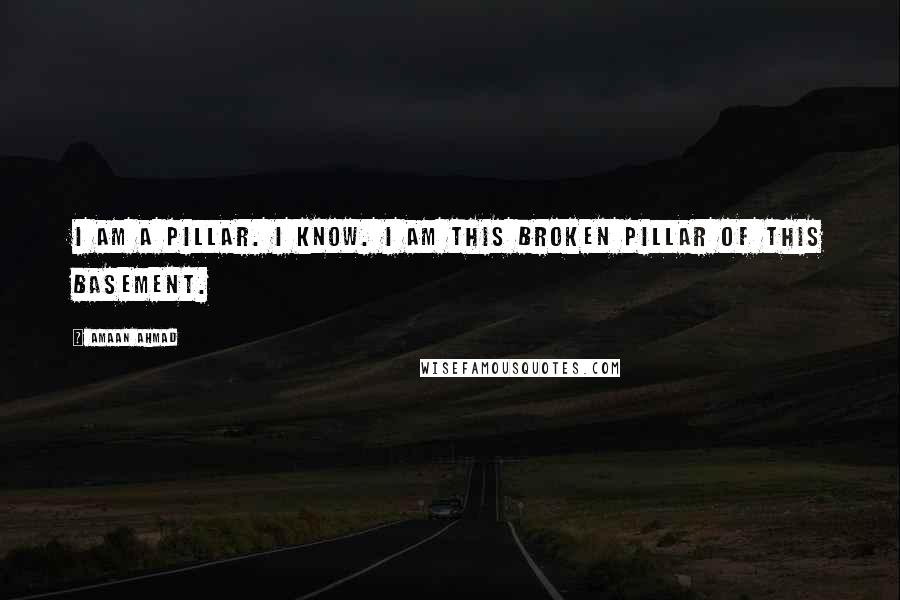 Amaan Ahmad Quotes: I am a pillar. I know. I am this broken pillar of this basement.