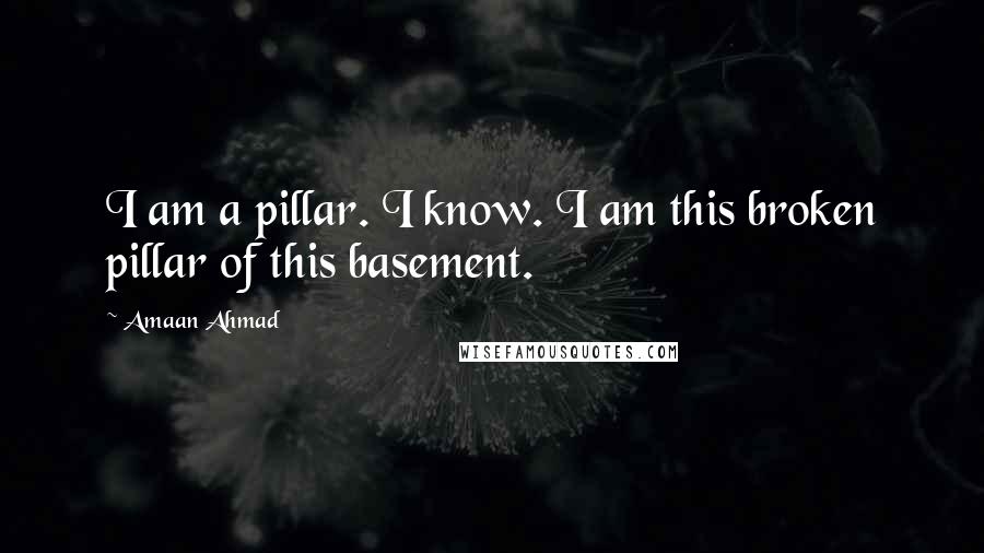 Amaan Ahmad Quotes: I am a pillar. I know. I am this broken pillar of this basement.