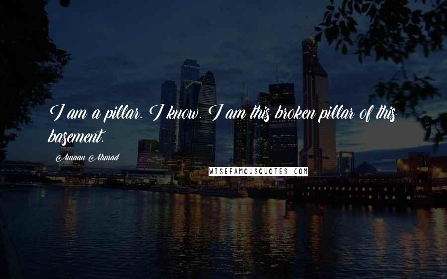 Amaan Ahmad Quotes: I am a pillar. I know. I am this broken pillar of this basement.