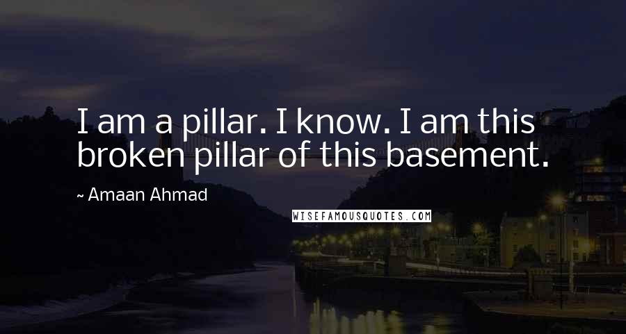 Amaan Ahmad Quotes: I am a pillar. I know. I am this broken pillar of this basement.