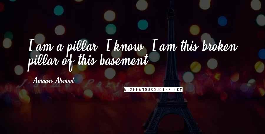 Amaan Ahmad Quotes: I am a pillar. I know. I am this broken pillar of this basement.