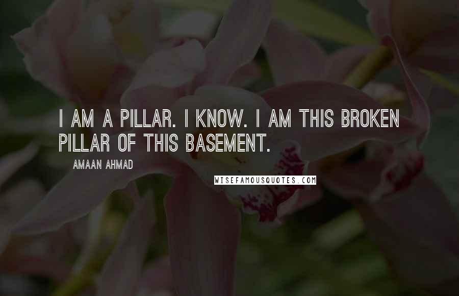 Amaan Ahmad Quotes: I am a pillar. I know. I am this broken pillar of this basement.