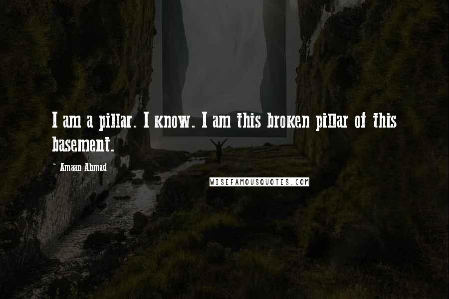 Amaan Ahmad Quotes: I am a pillar. I know. I am this broken pillar of this basement.