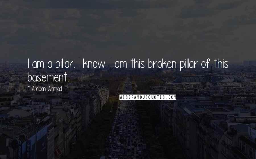 Amaan Ahmad Quotes: I am a pillar. I know. I am this broken pillar of this basement.