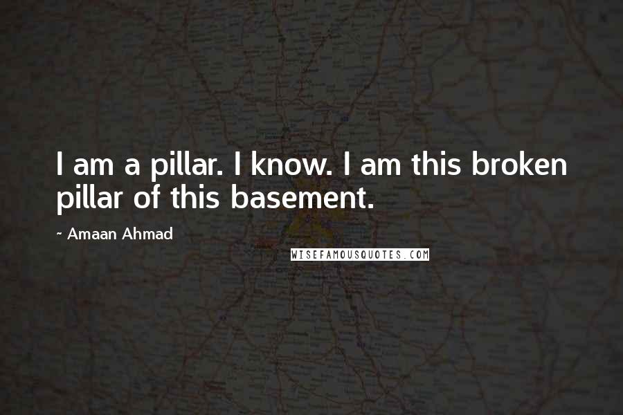 Amaan Ahmad Quotes: I am a pillar. I know. I am this broken pillar of this basement.