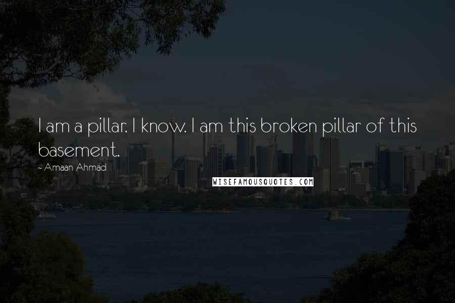 Amaan Ahmad Quotes: I am a pillar. I know. I am this broken pillar of this basement.