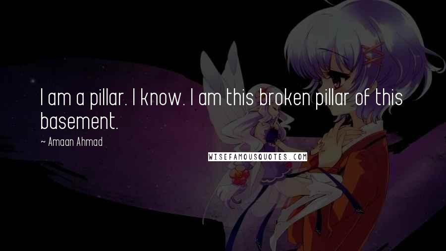 Amaan Ahmad Quotes: I am a pillar. I know. I am this broken pillar of this basement.