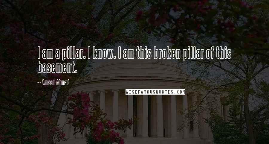 Amaan Ahmad Quotes: I am a pillar. I know. I am this broken pillar of this basement.