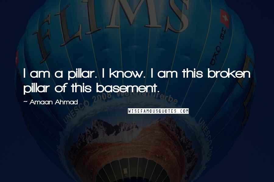 Amaan Ahmad Quotes: I am a pillar. I know. I am this broken pillar of this basement.