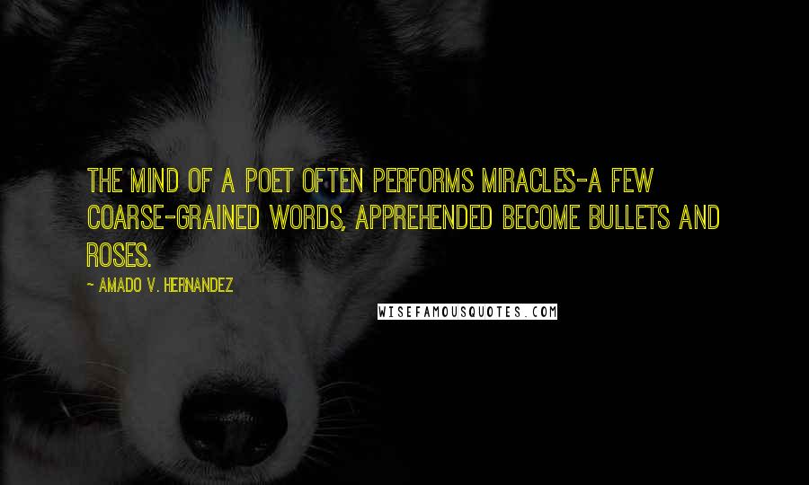 Amado V. Hernandez Quotes: The mind of a poet often performs miracles-a few coarse-grained words, apprehended become bullets and roses.