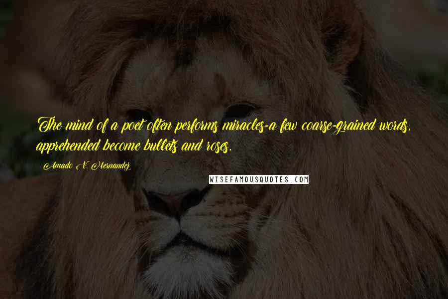 Amado V. Hernandez Quotes: The mind of a poet often performs miracles-a few coarse-grained words, apprehended become bullets and roses.