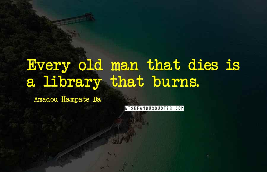 Amadou Hampate Ba Quotes: Every old man that dies is a library that burns.