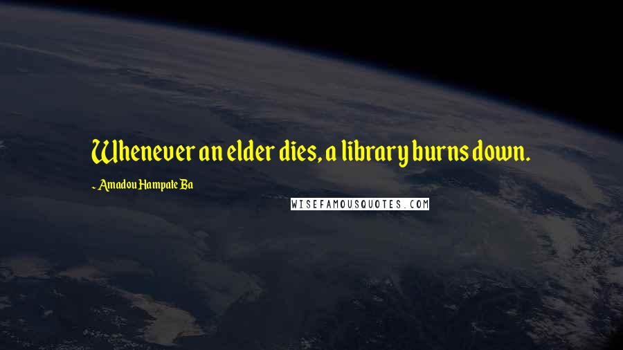 Amadou Hampate Ba Quotes: Whenever an elder dies, a library burns down.